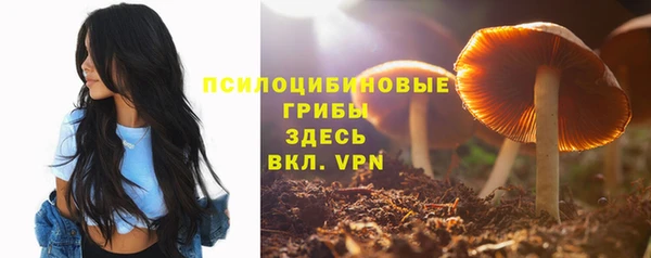 эйфоретик Беломорск