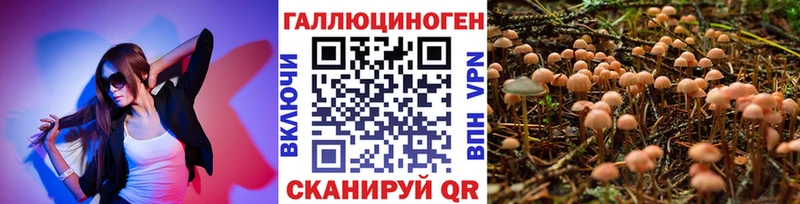 Псилоцибиновые грибы мухоморы  kraken рабочий сайт  Среднеуральск 